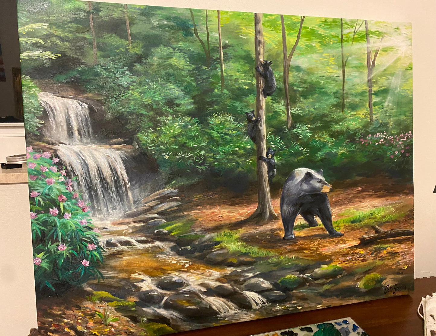 Bear in Woods