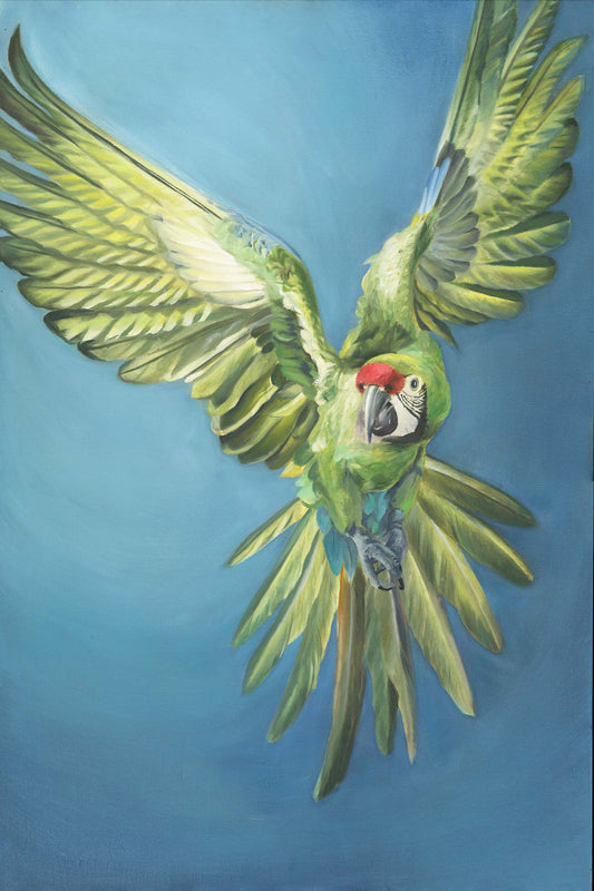 Free Bird Oil Painting